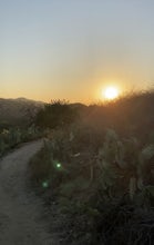 Hike the Oak Canyon Bluebird and Wren Trail