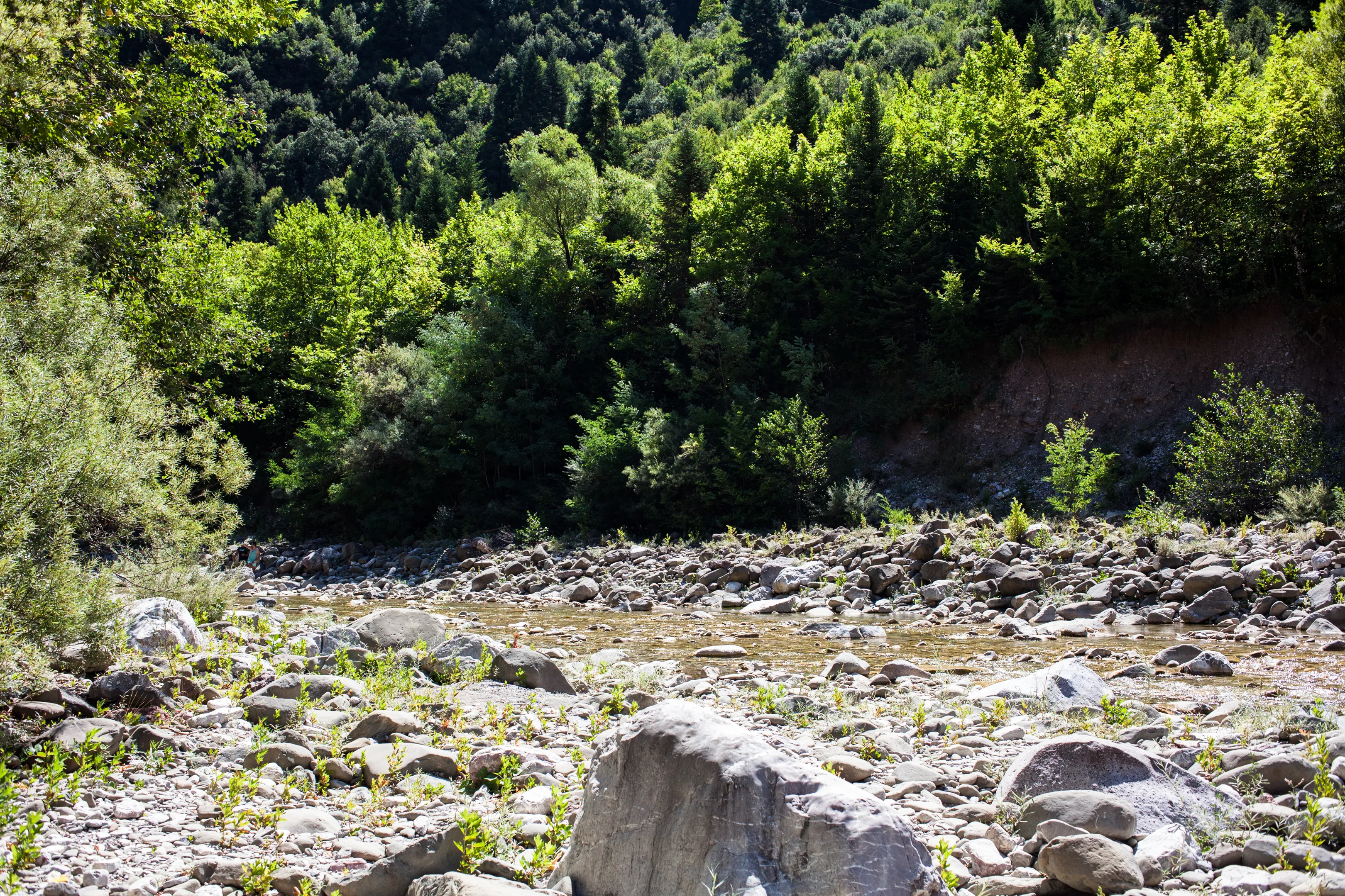 Explore the River in Panta Vrehi Canyon