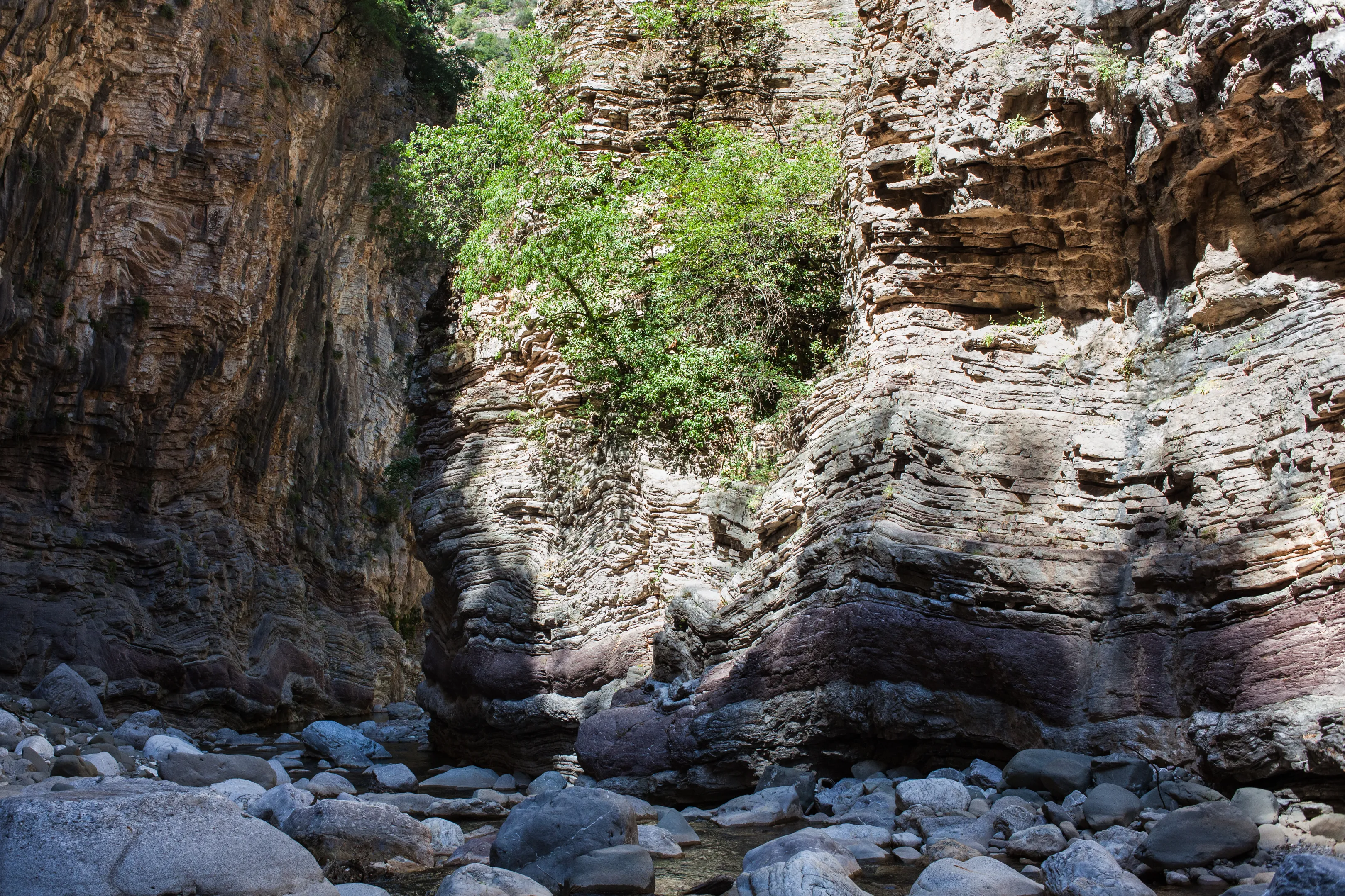 Explore the River in Panta Vrehi Canyon