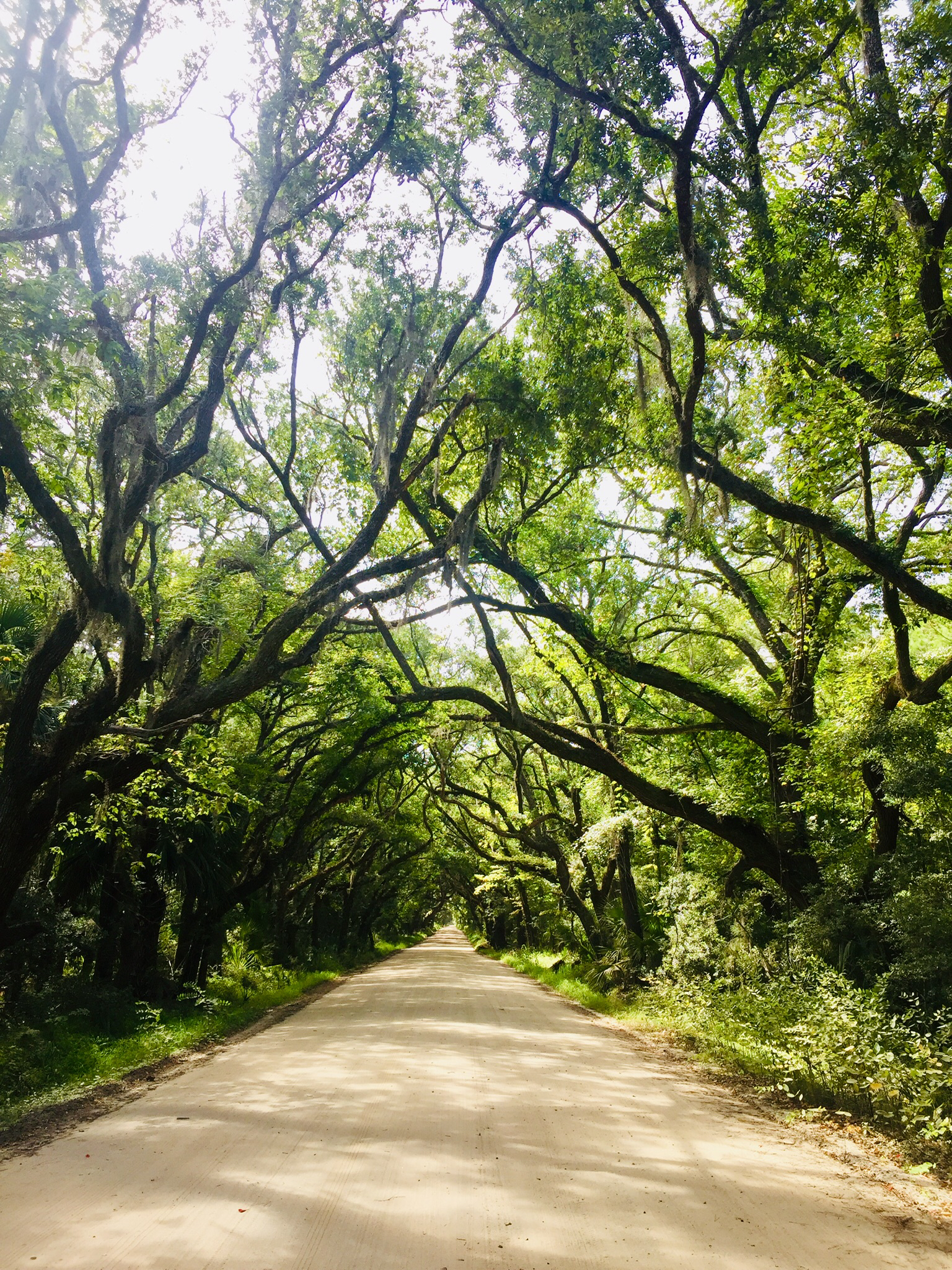 Explore Botany Bay
