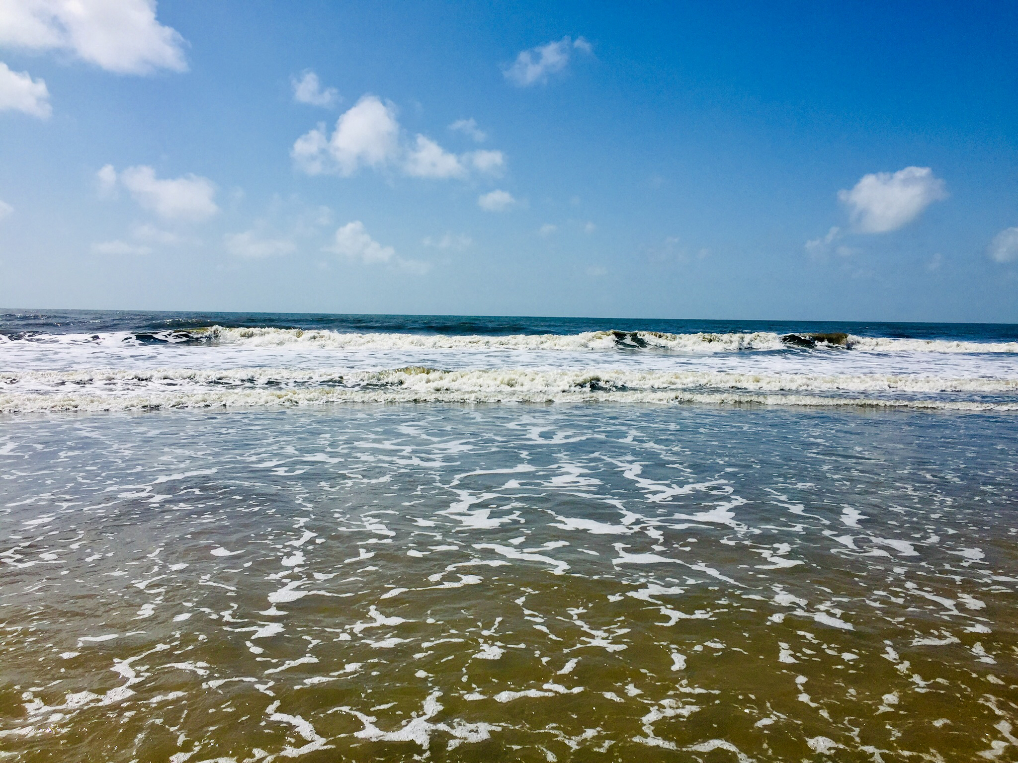 Explore Botany Bay