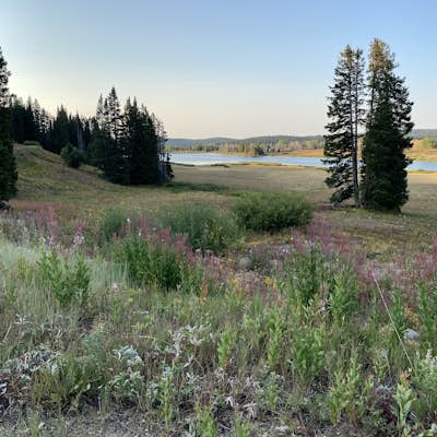 Camp at Dumont Lake, CO