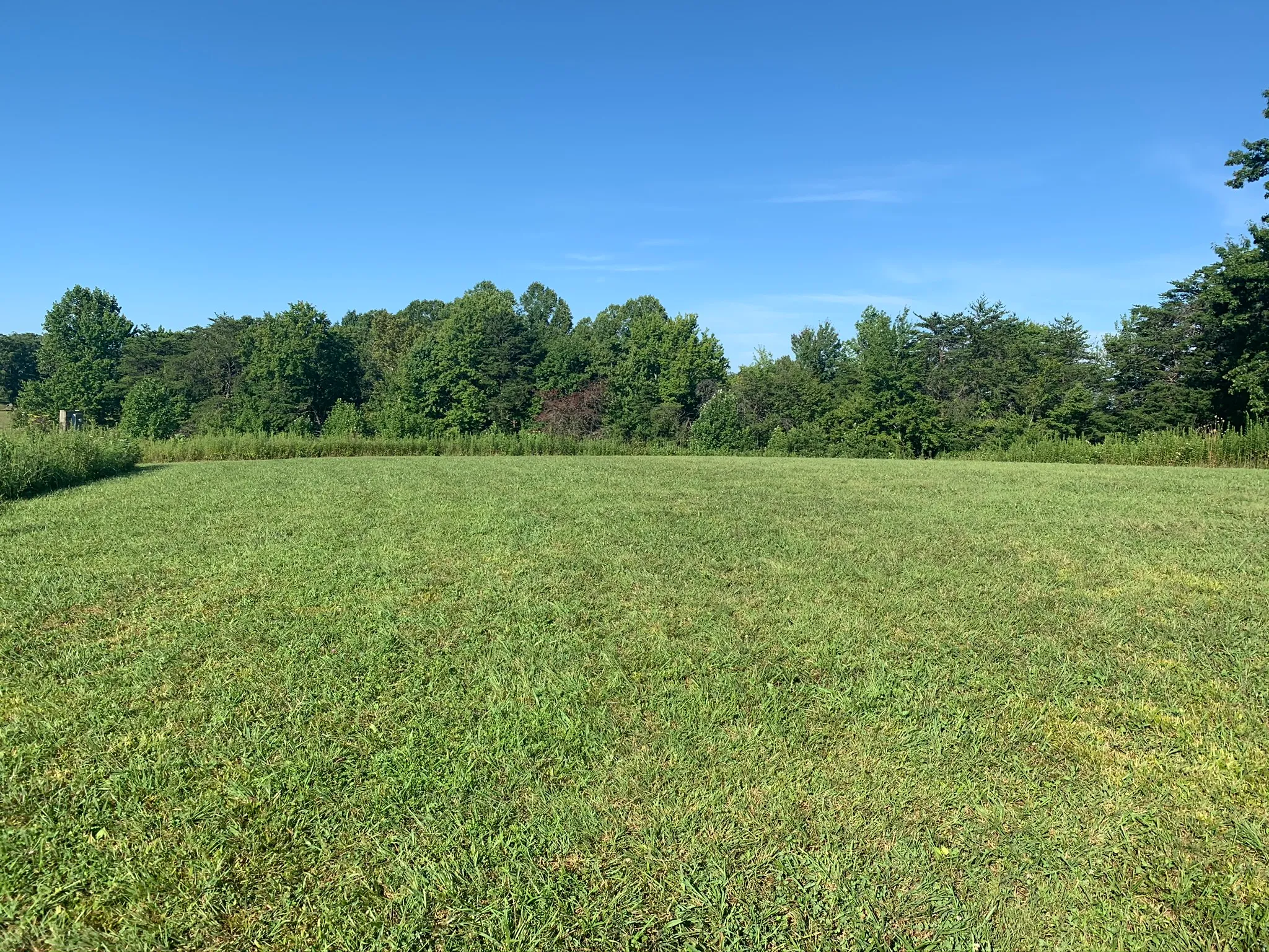 Stargaze at Astronomy Field