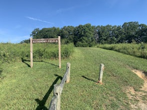 Stargaze at Astronomy Field
