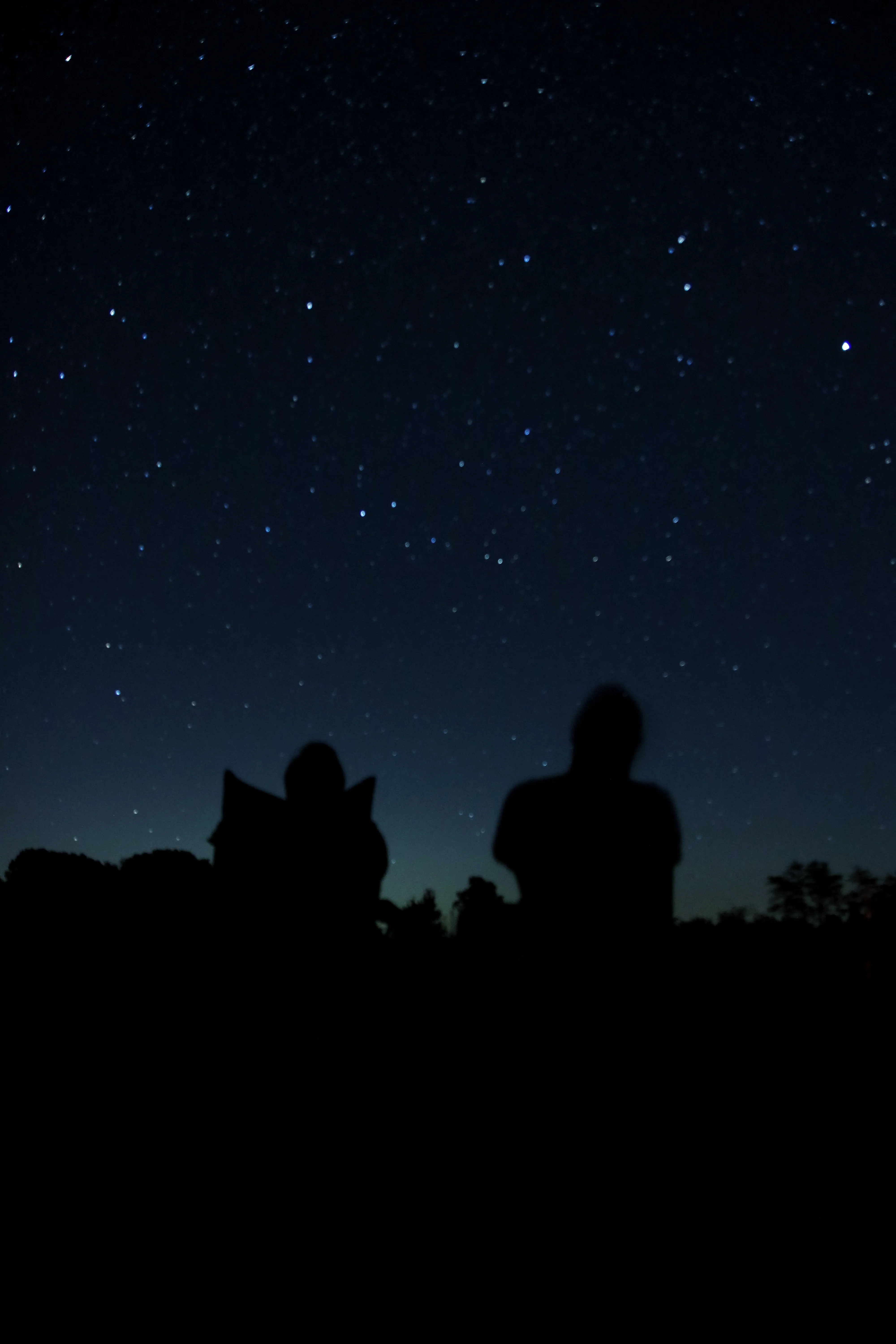 Stargaze at Astronomy Field