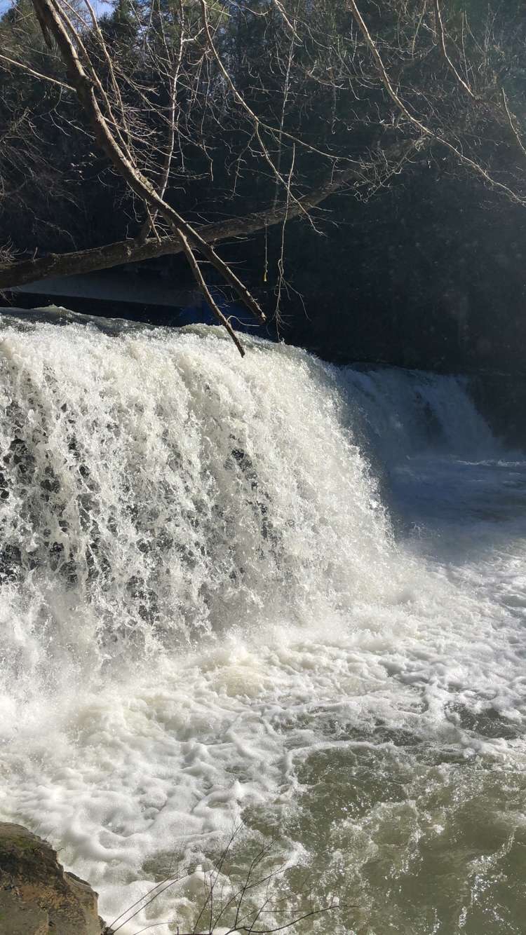 Potter's Falls