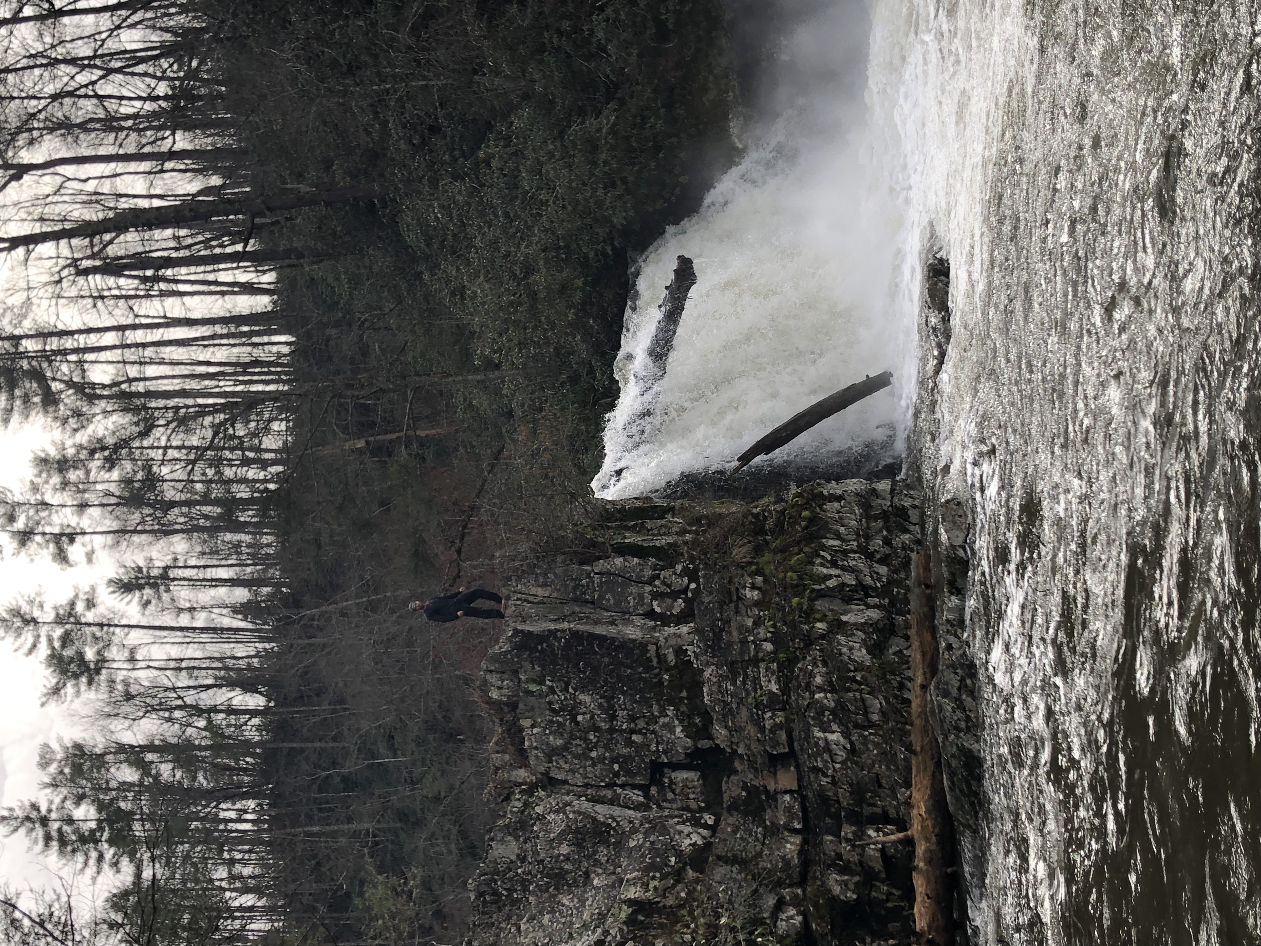 Abrams Falls Trail