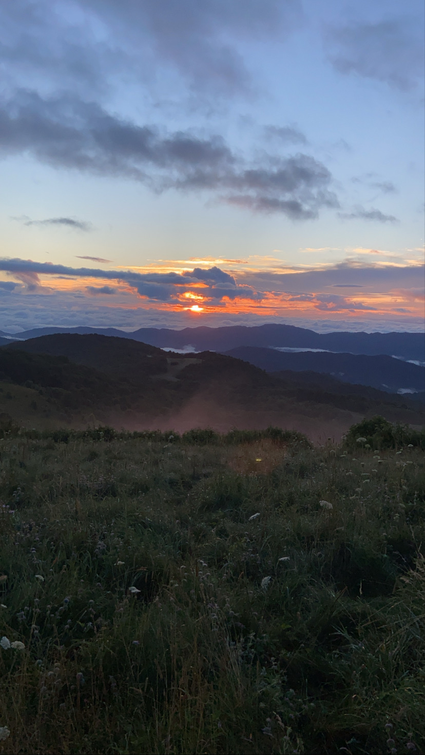 Max Patch Mountain