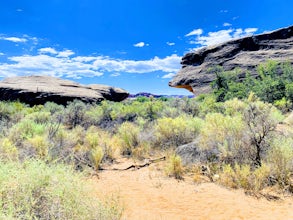 Hike the Cave Spring Loop in the Needles District