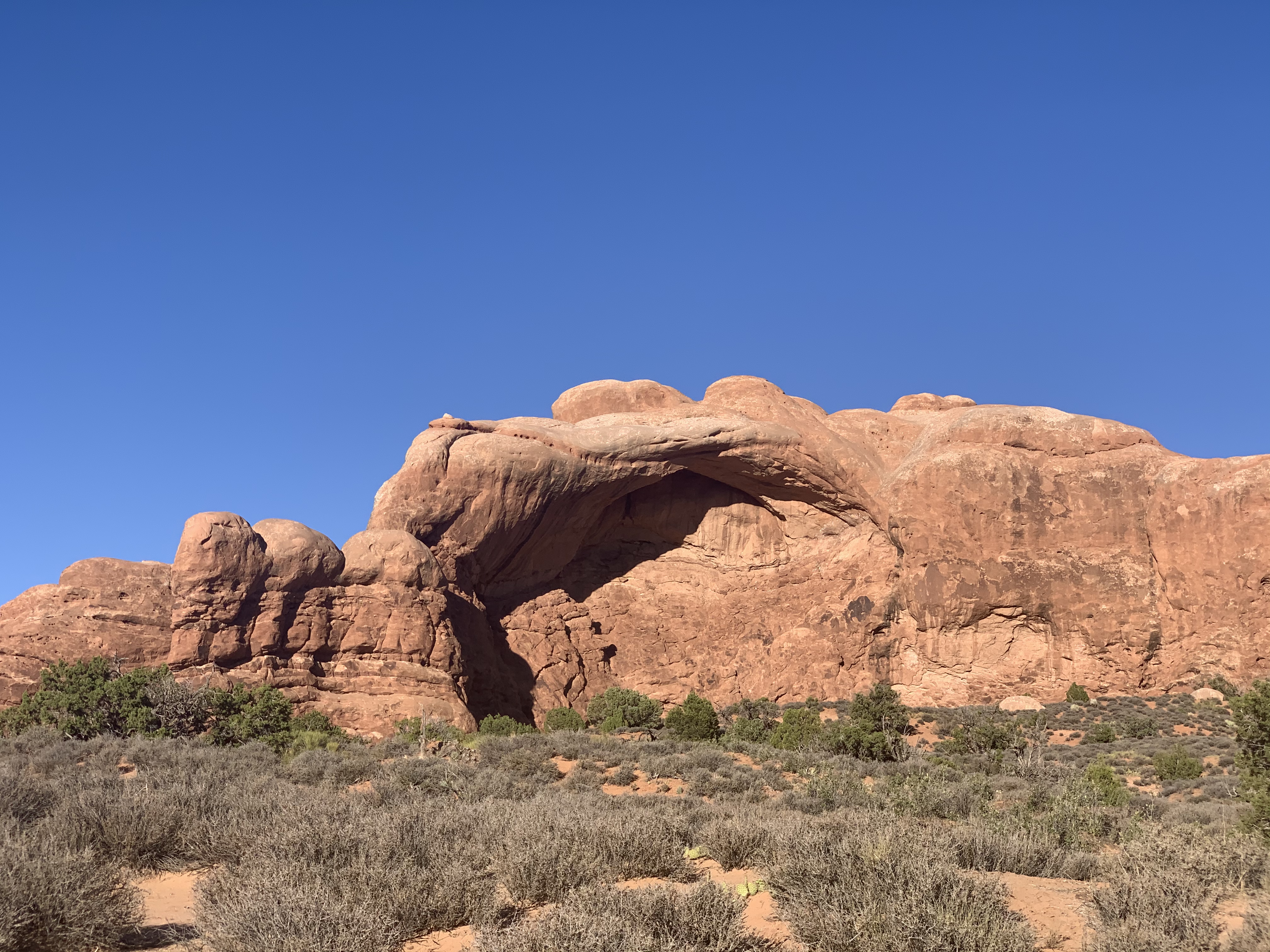 Window Arch Loop