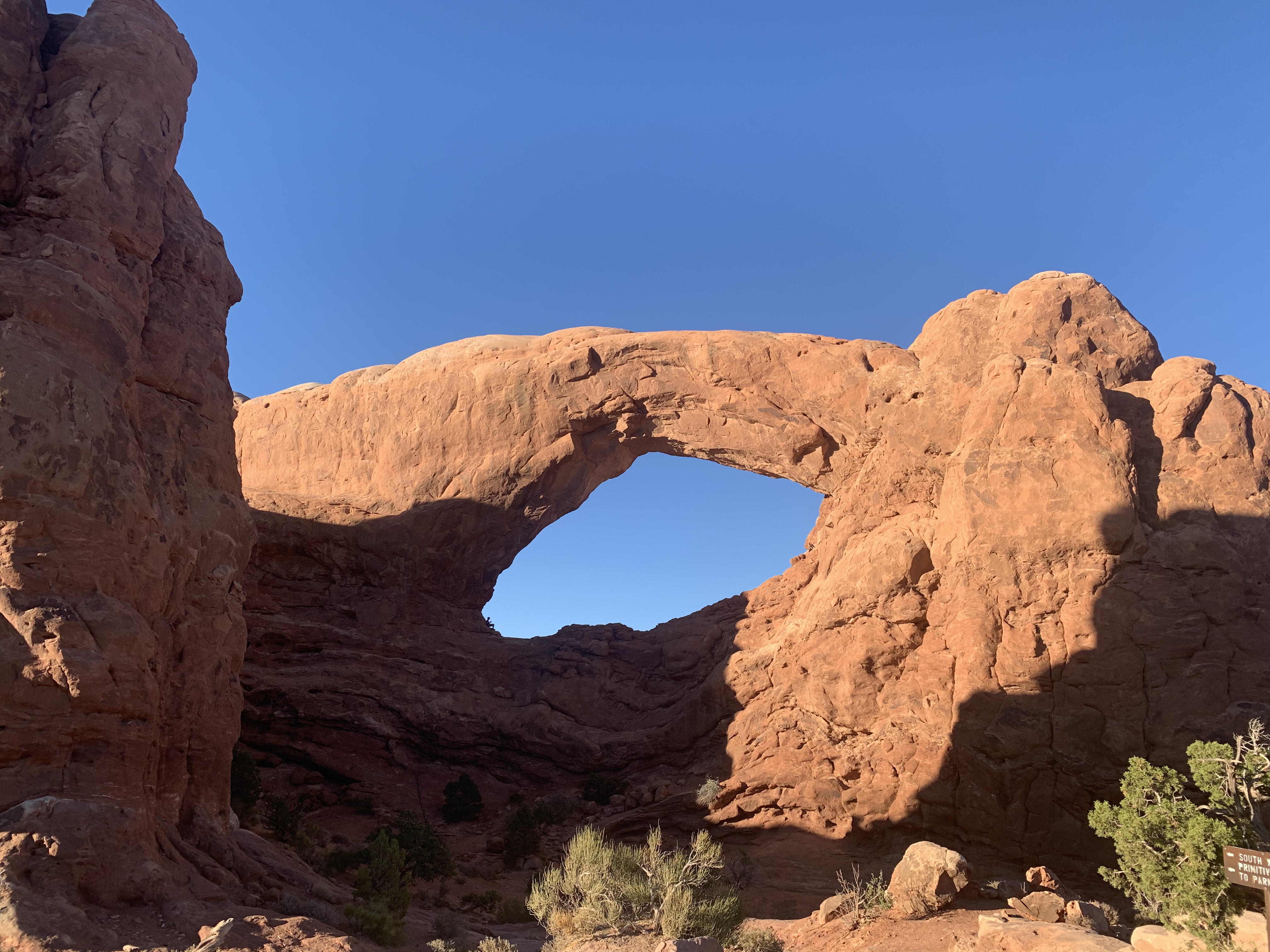 Window Arch Loop