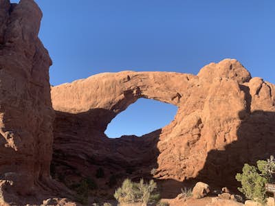 Window Arch Loop