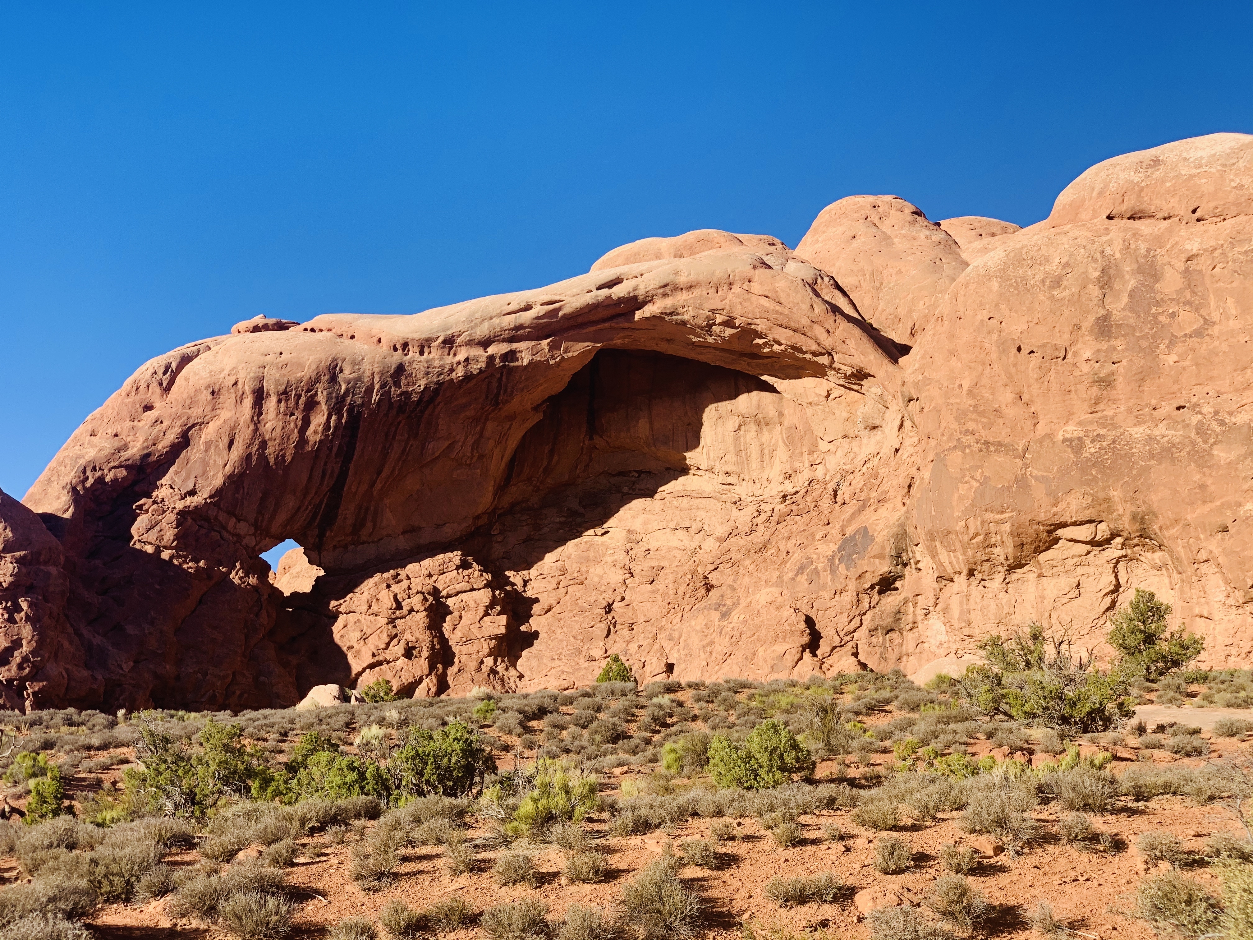 Window Arch Loop