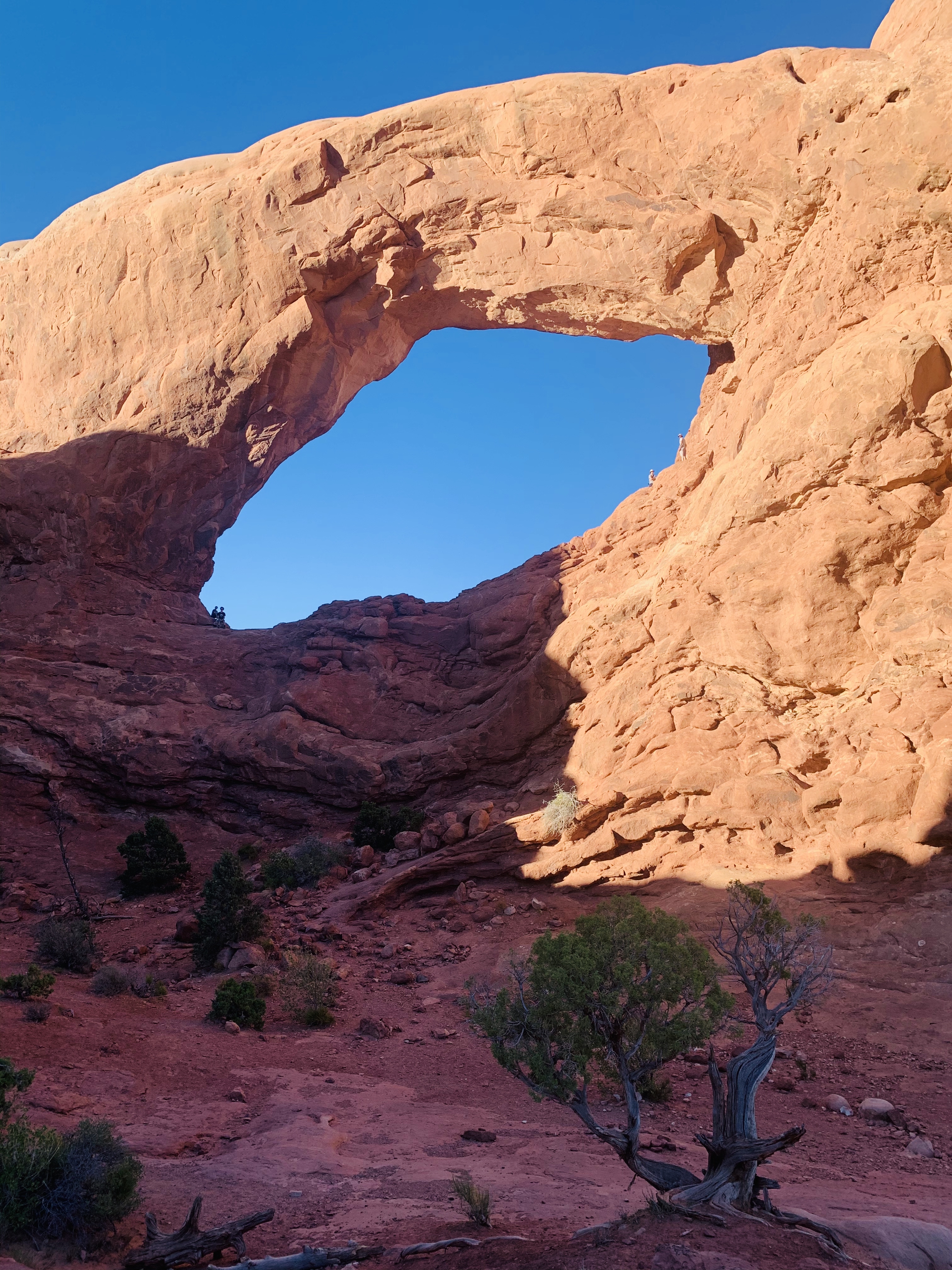 Window Arch Loop