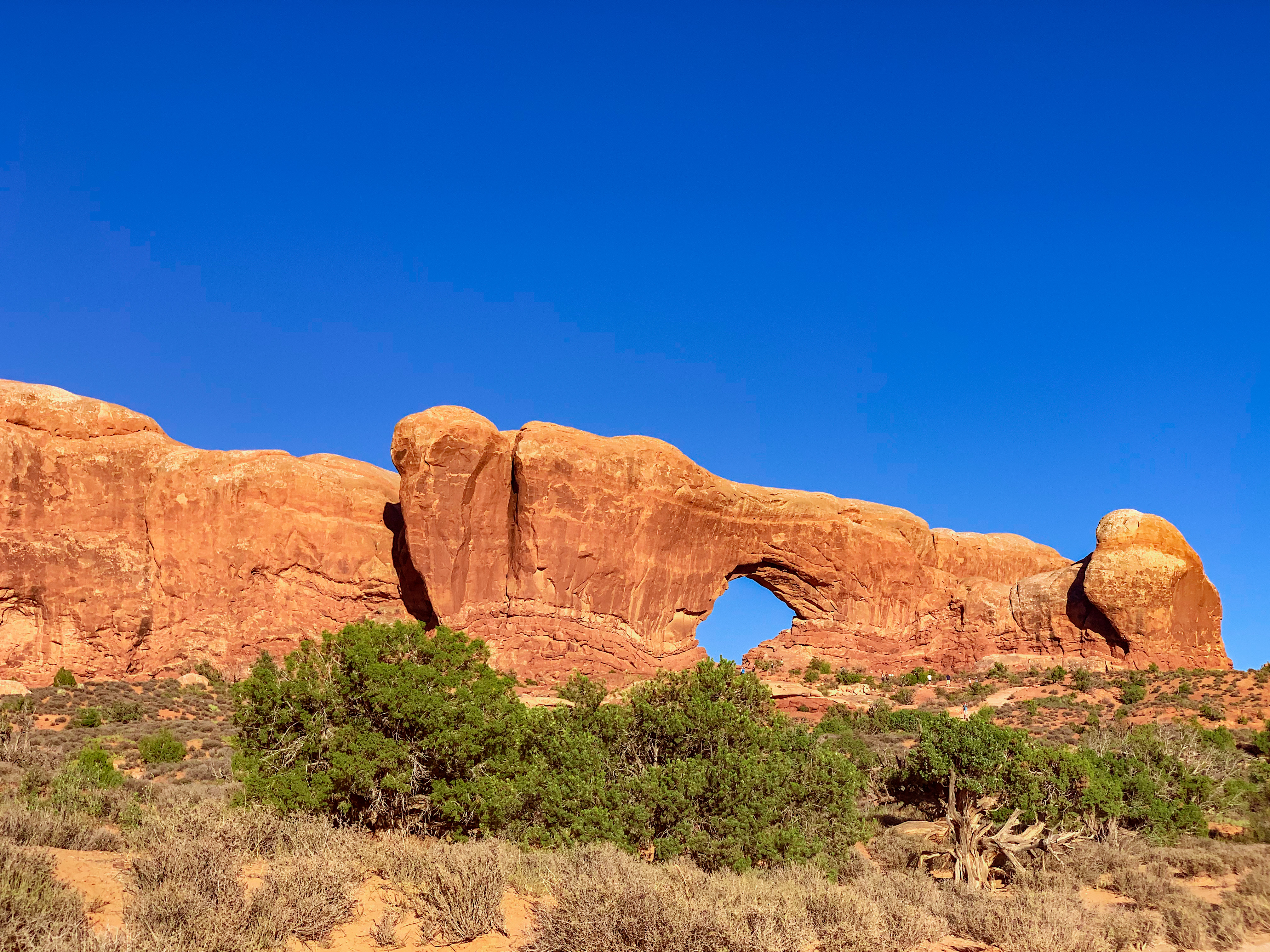 Window Arch Loop