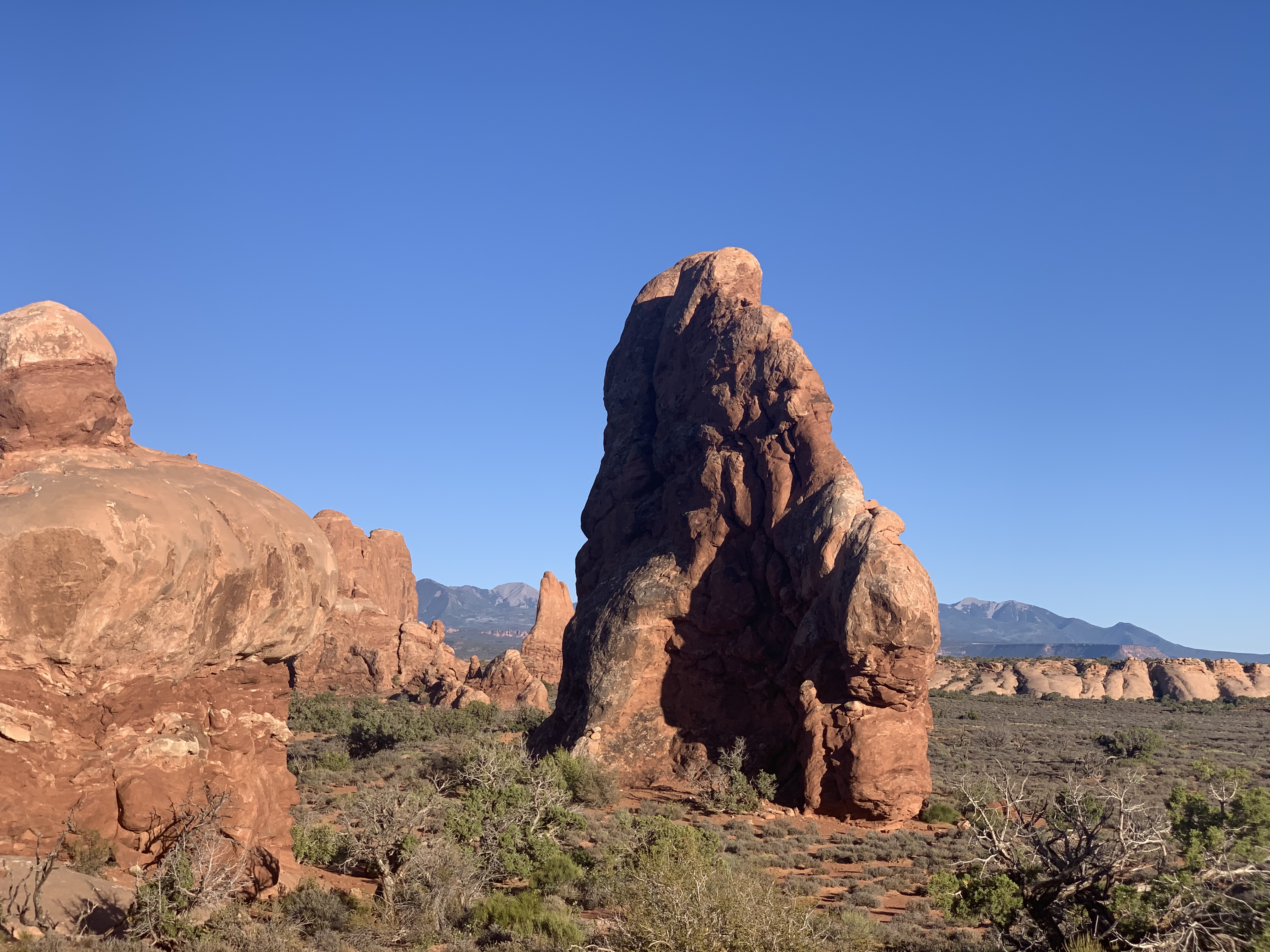 Window Arch Loop