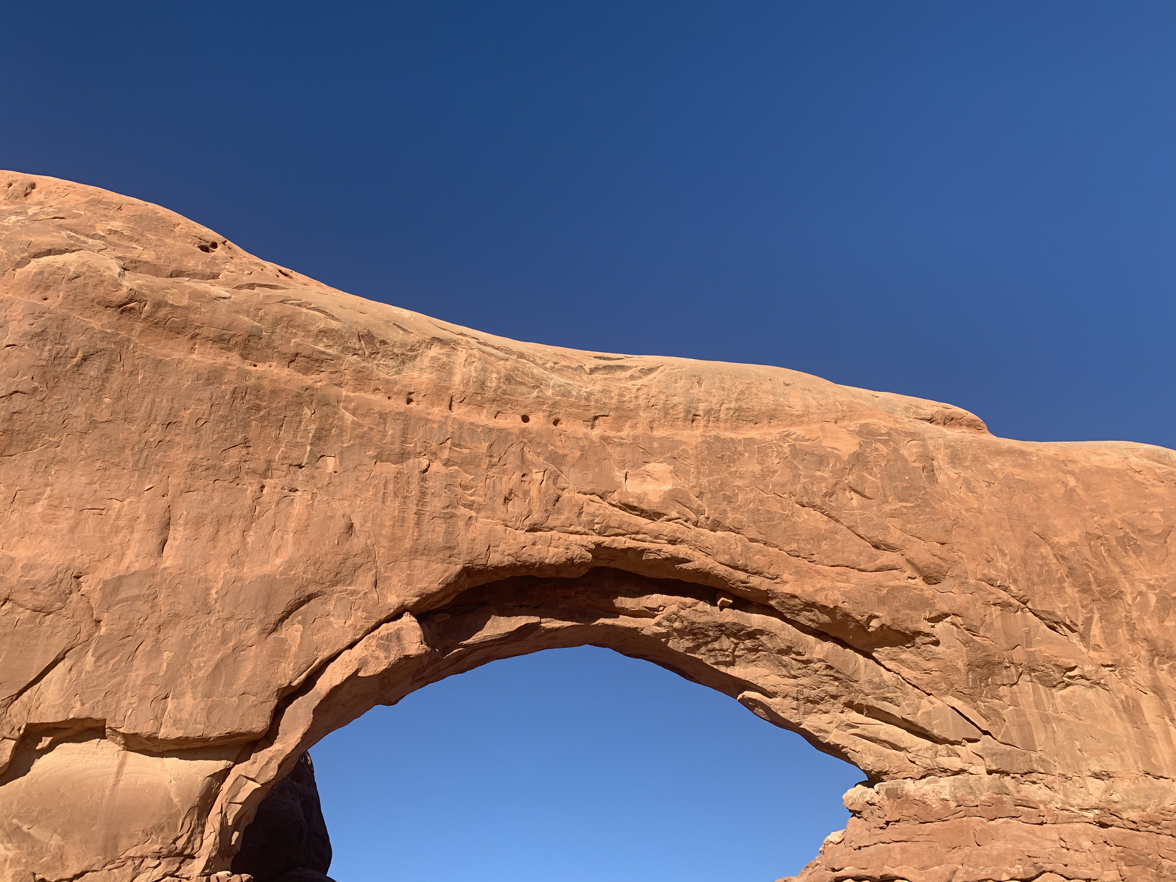 Window Arch Loop