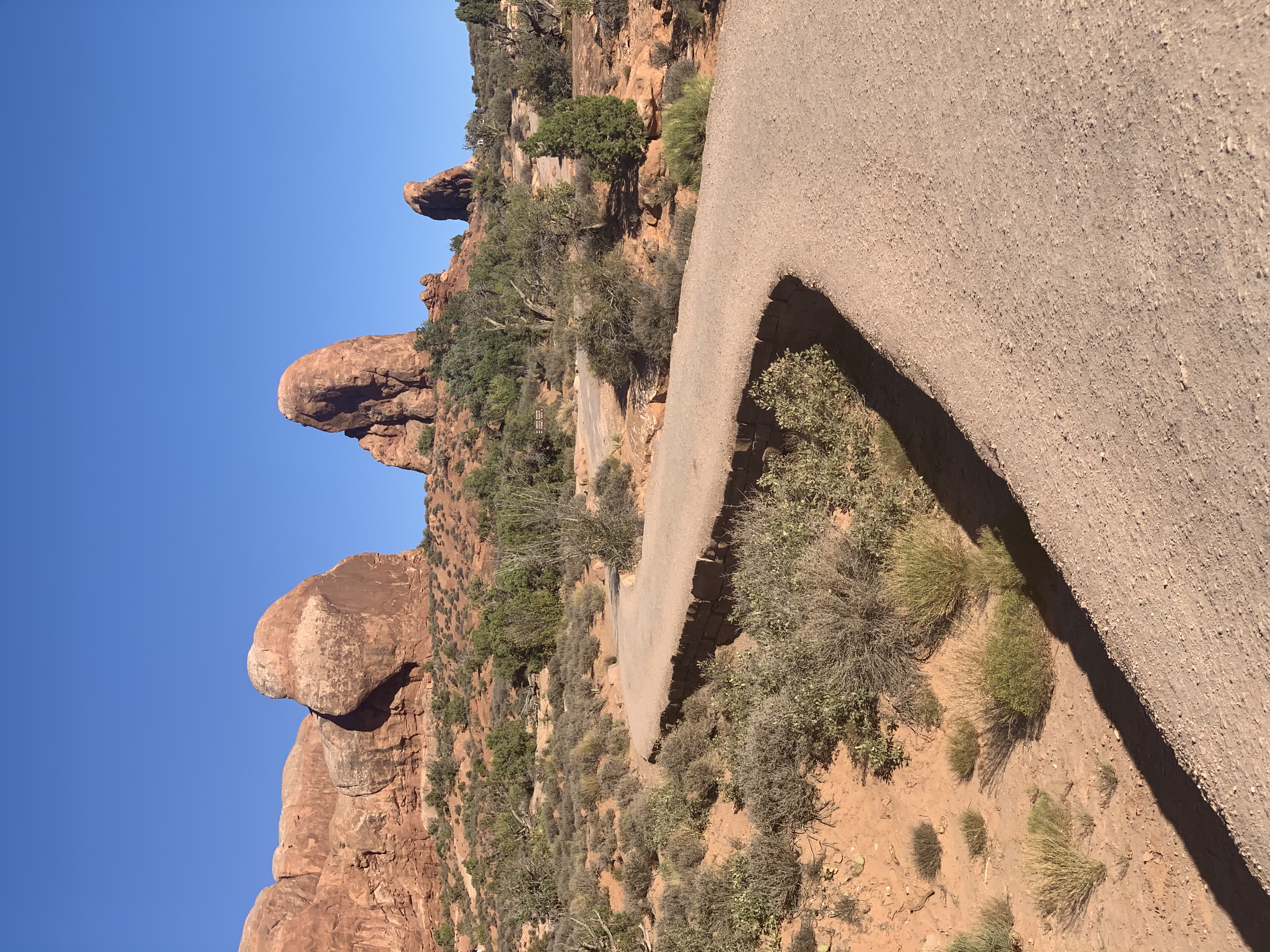 Window Arch Loop