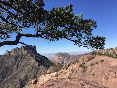 Hike the Lost Mine Trail in Big Bend NP