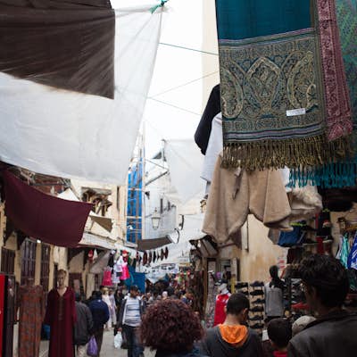 Explore the Medina of Fez