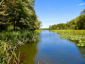 Tyler State Park Lake Loop Trail