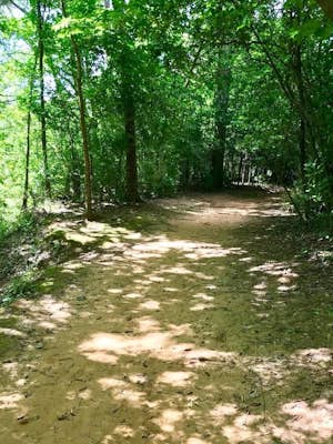 Lanana Creek Trail