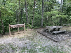 Hike the Natural Bridge in Pickett State Park