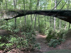 Natural Bridge Loop 