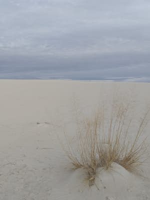 Explore White Sands National Monument