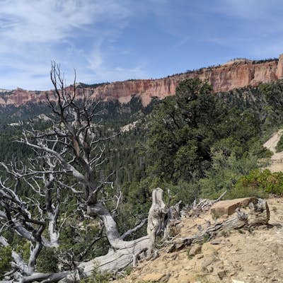 Under the Rim Trail to Swamp Canyon Camp