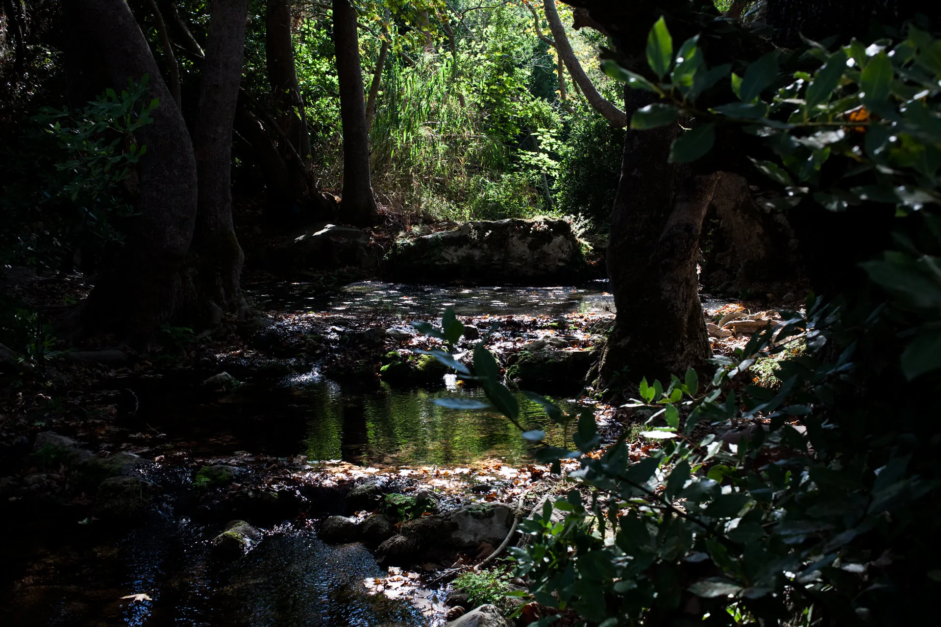 Hike the Trail of the Watermills