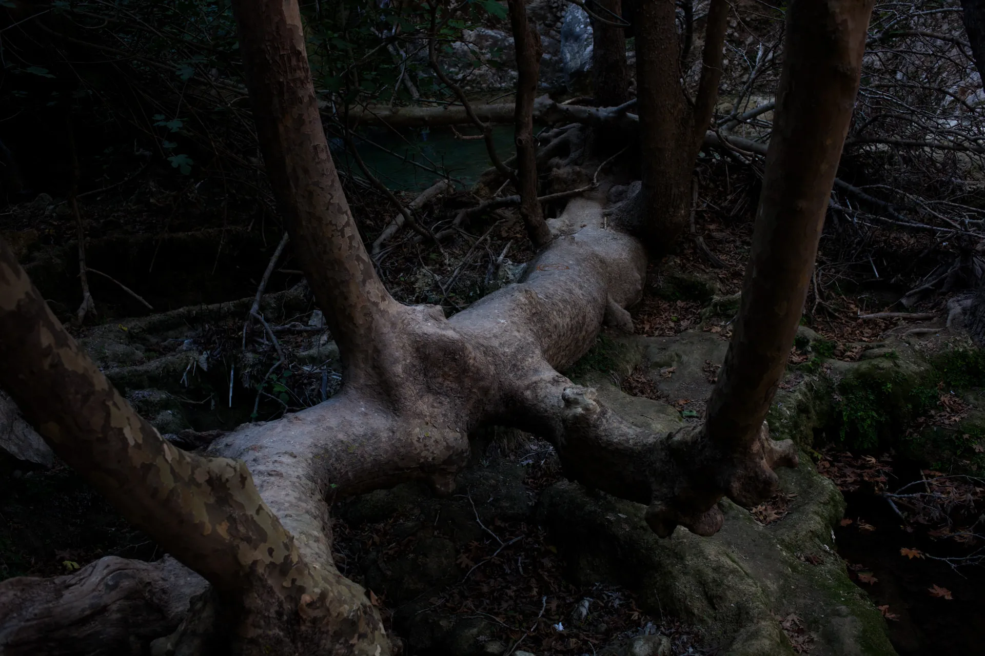 Hike the Trail of the Watermills