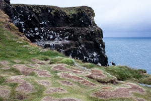 Hike to Látrabjarg Cliffs