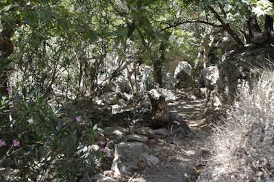 Hike Kampos Gorge