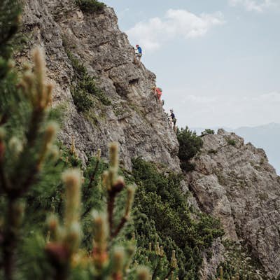 Explore the Alpin Erlebnispark