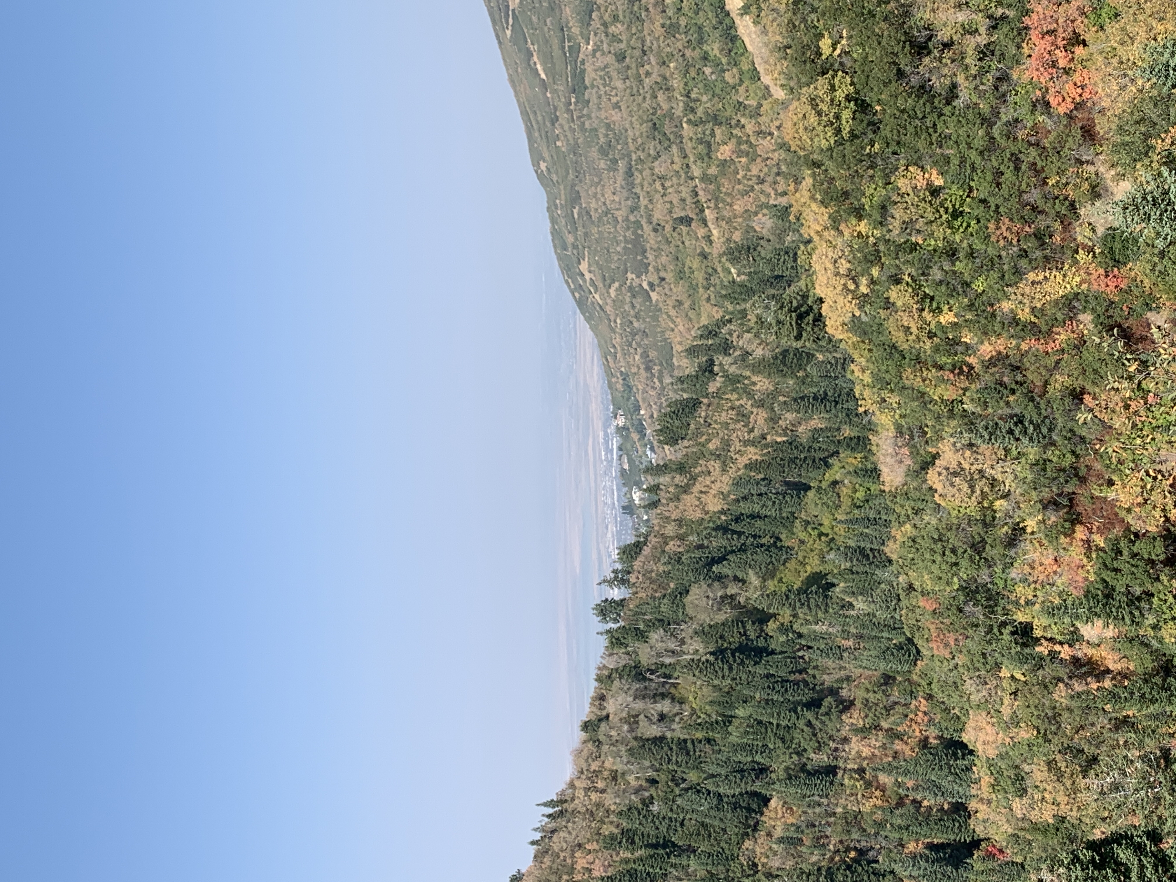 Trail Run to Elephant Rock