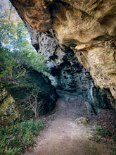 Trillium Trail