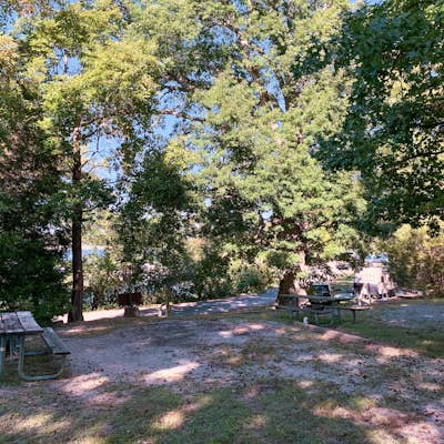 Camp at Little Grassy Lake Campground