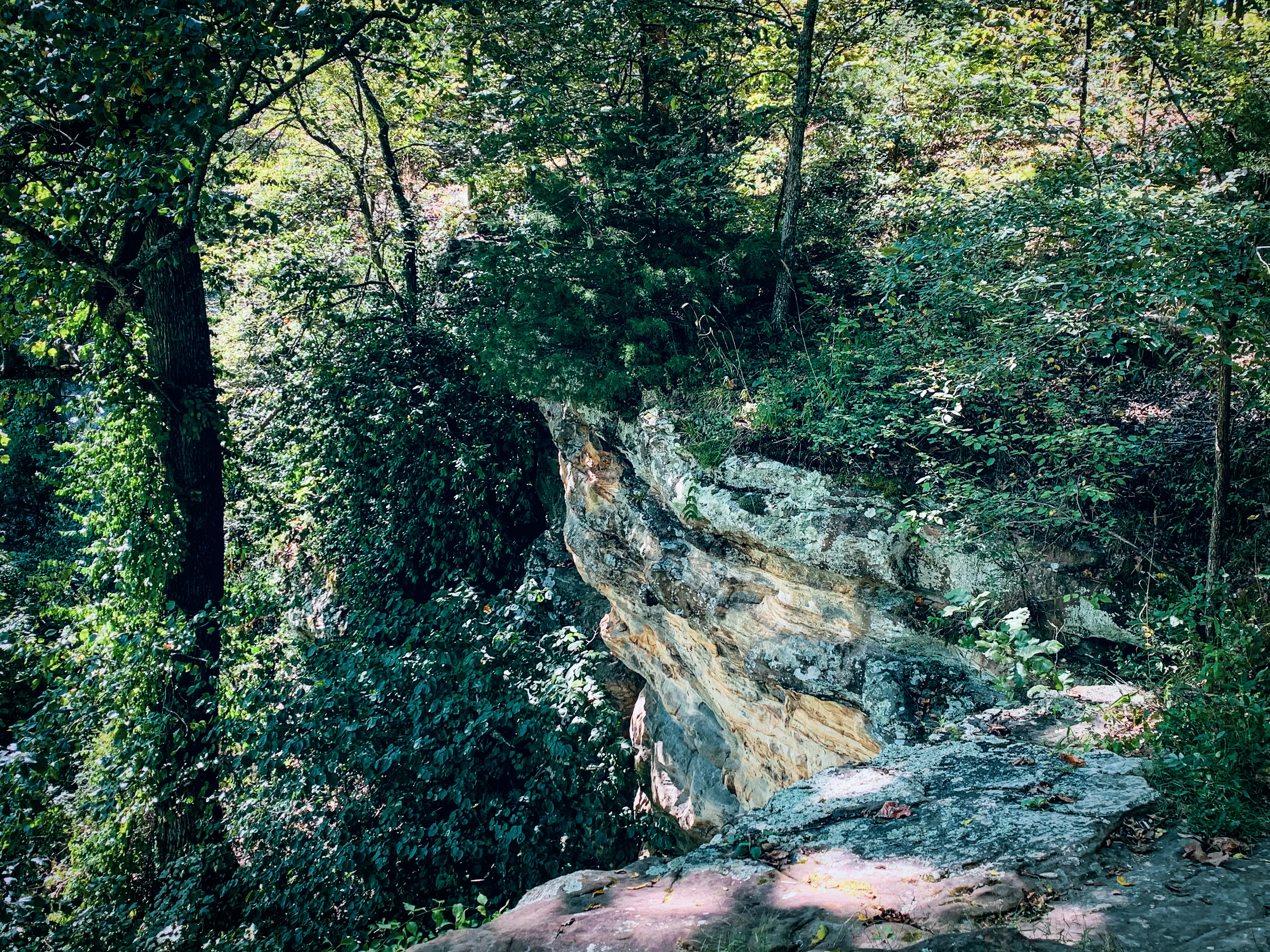 Hike the Stonefort Trail