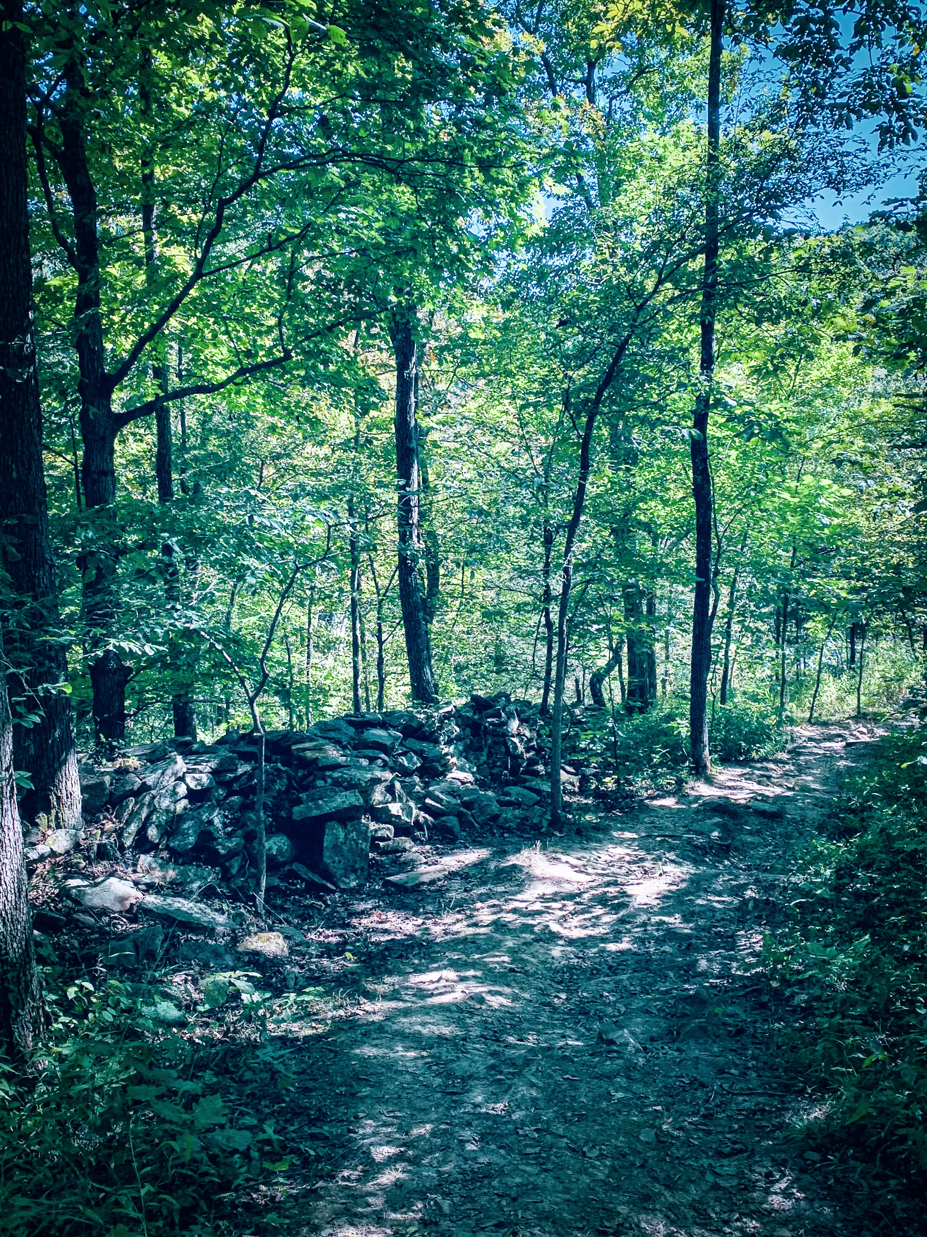 Hike the Stonefort Trail