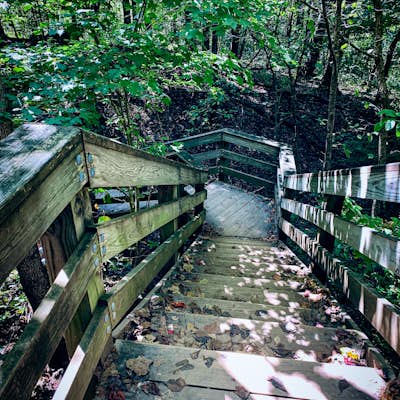 Hike the Giant City Nature Trail