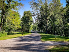 Camp at Little Grassy Lake Campground