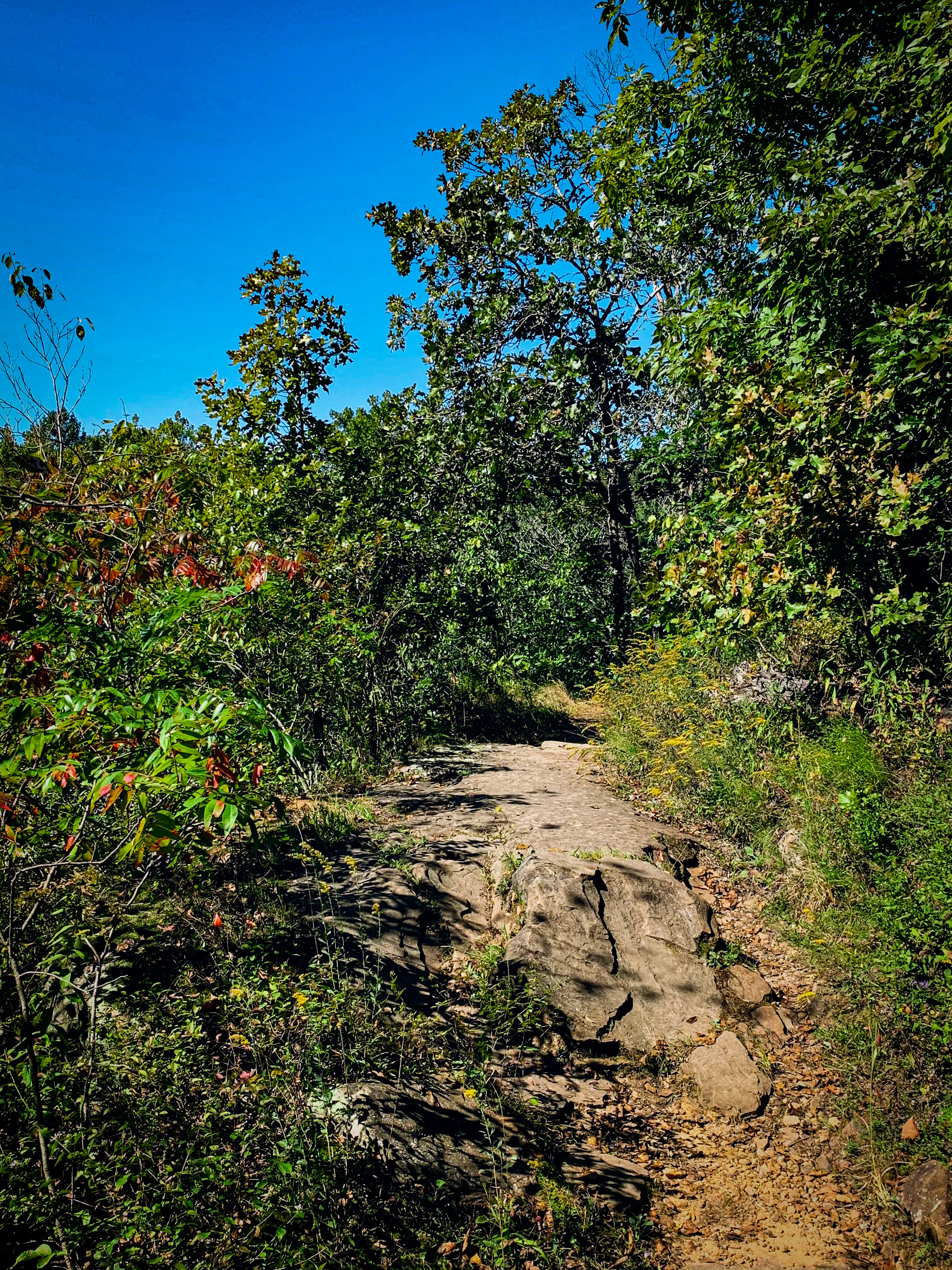 Hike the Stonefort Trail
