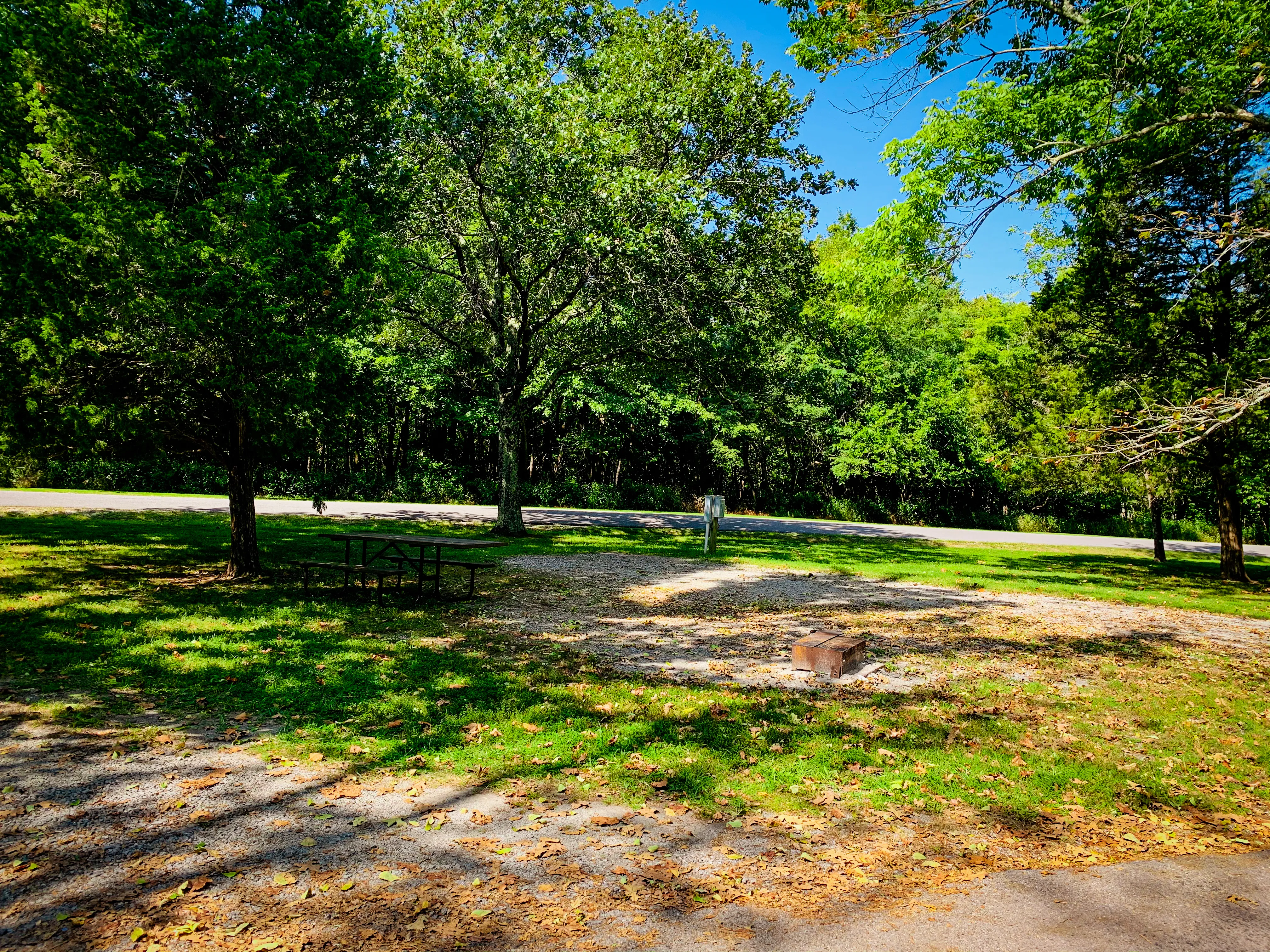 Camp at Ferne Clyffe State Park