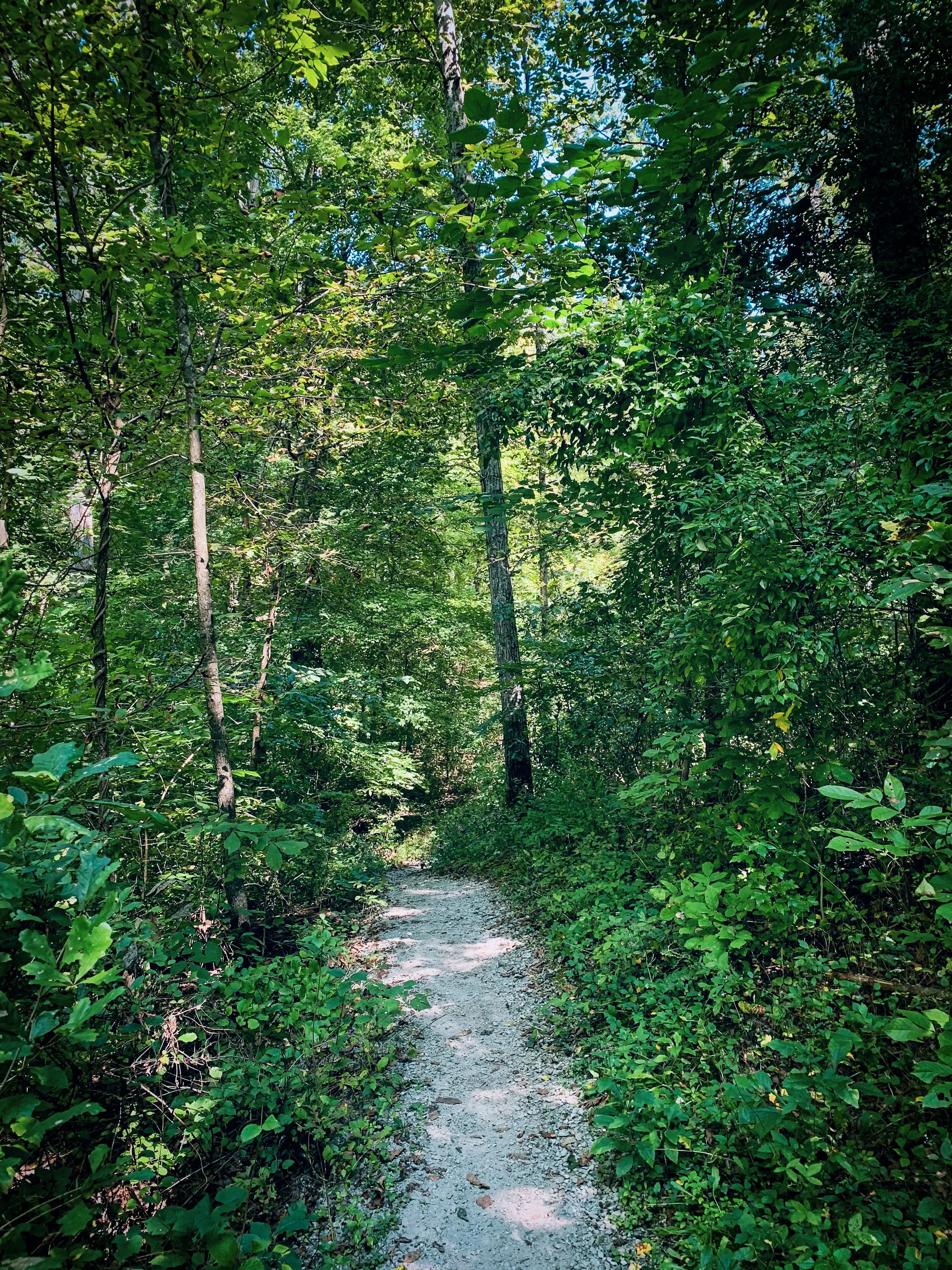 Hike Indian Creek Trail