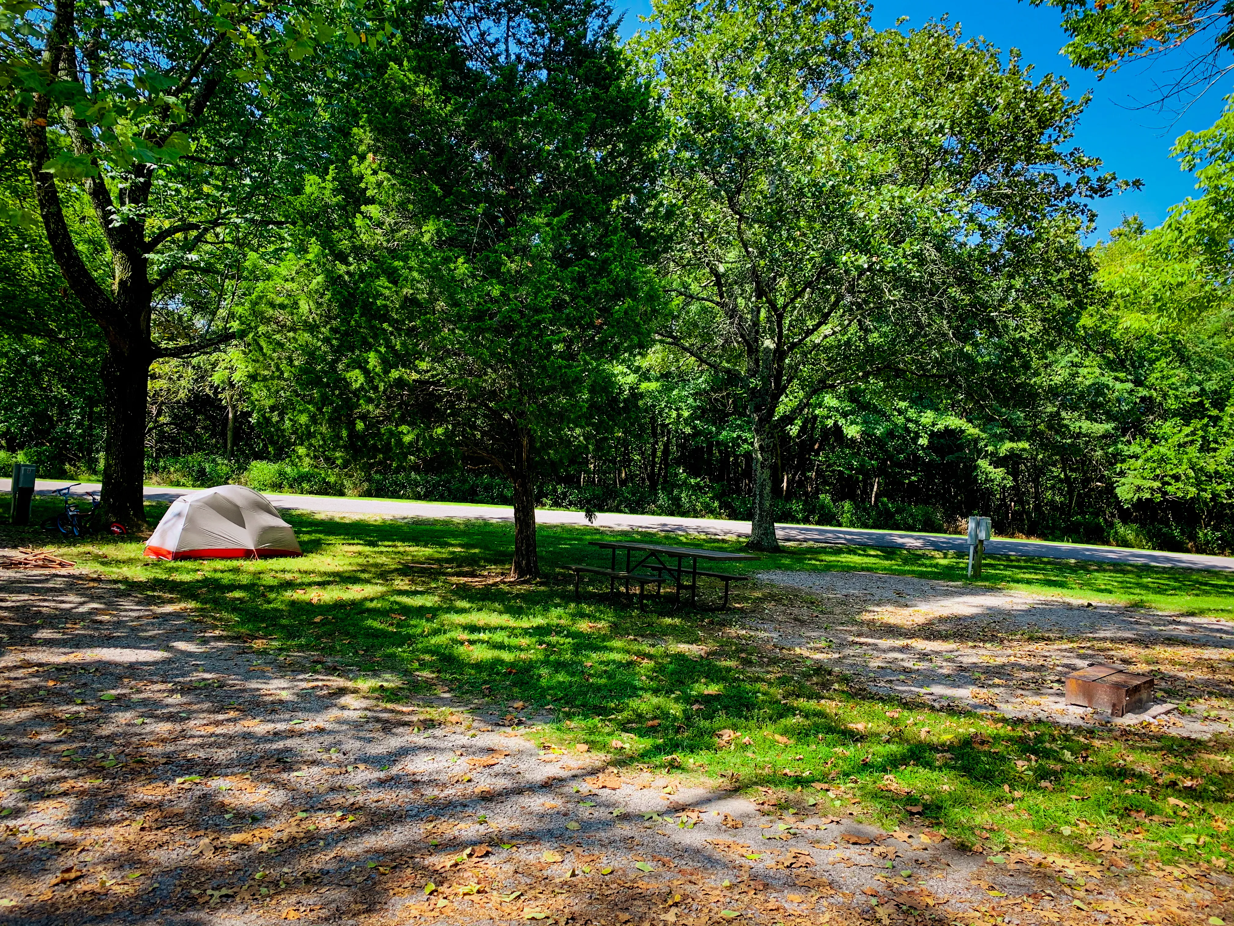 Camp at Ferne Clyffe State Park
