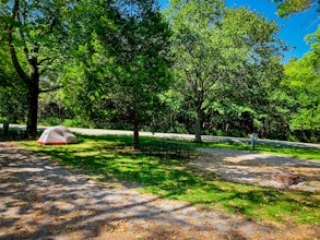 Camp at Ferne Clyffe State Park