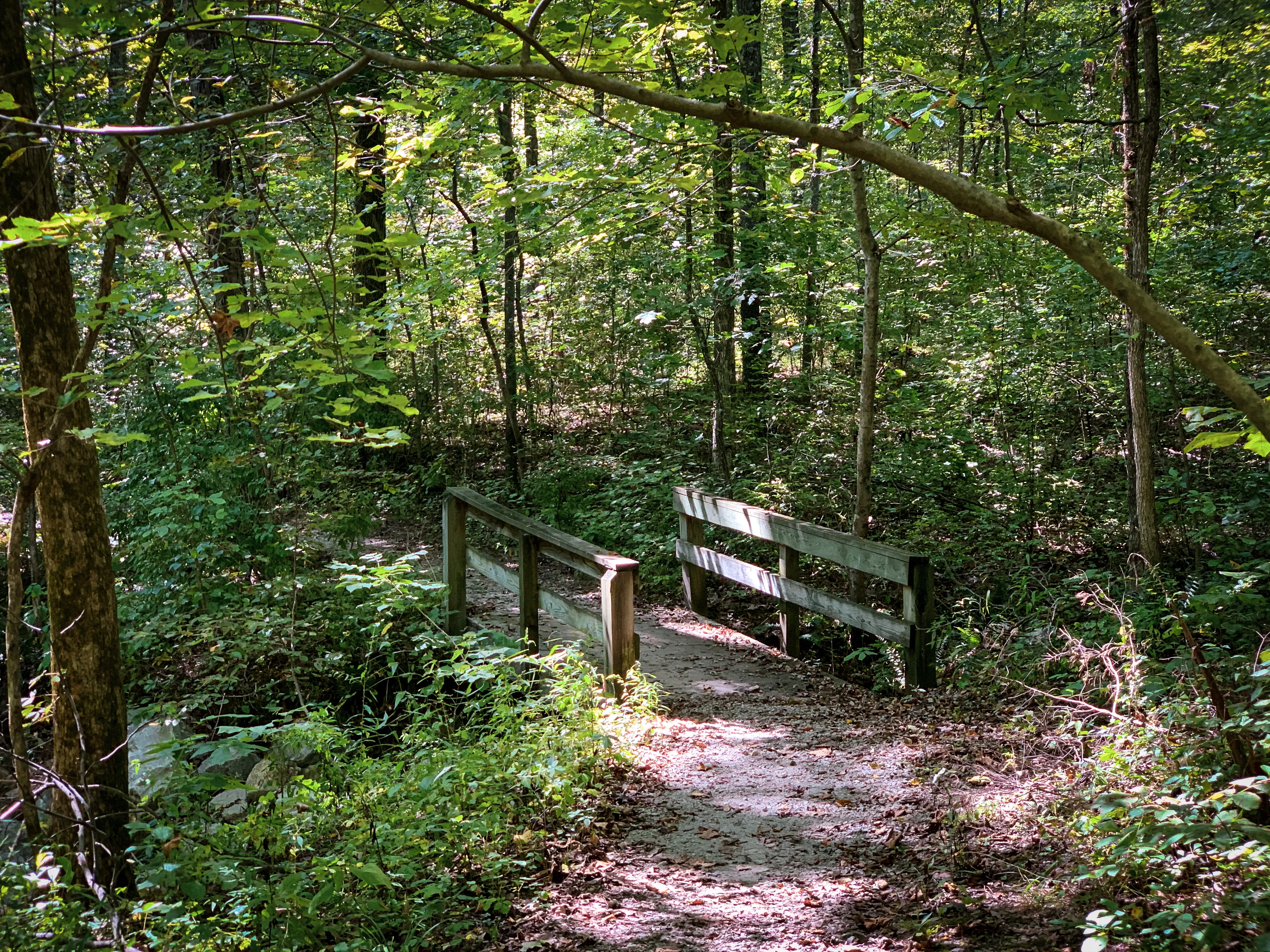 Hike Indian Creek Trail