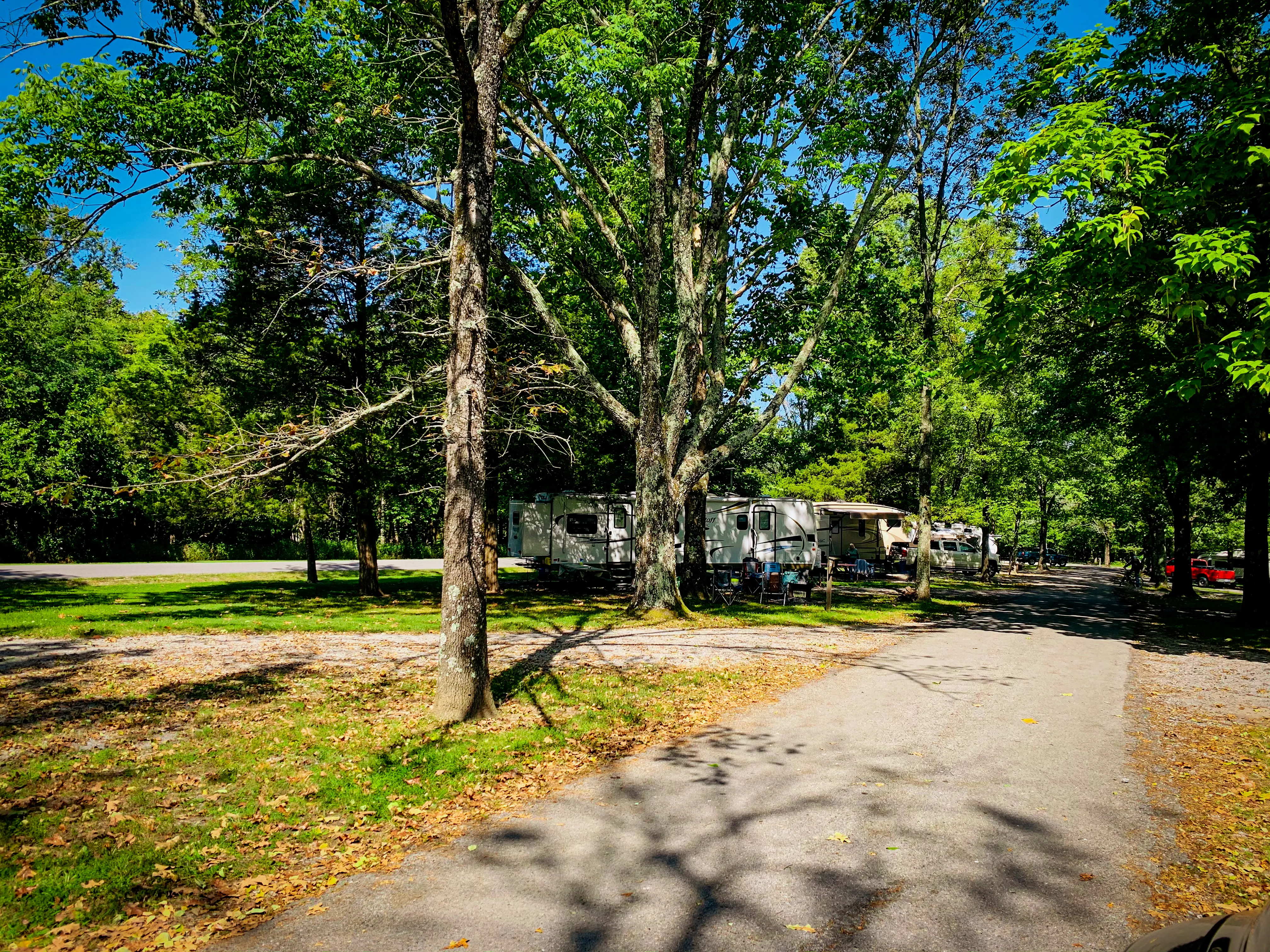 Camp at Ferne Clyffe State Park