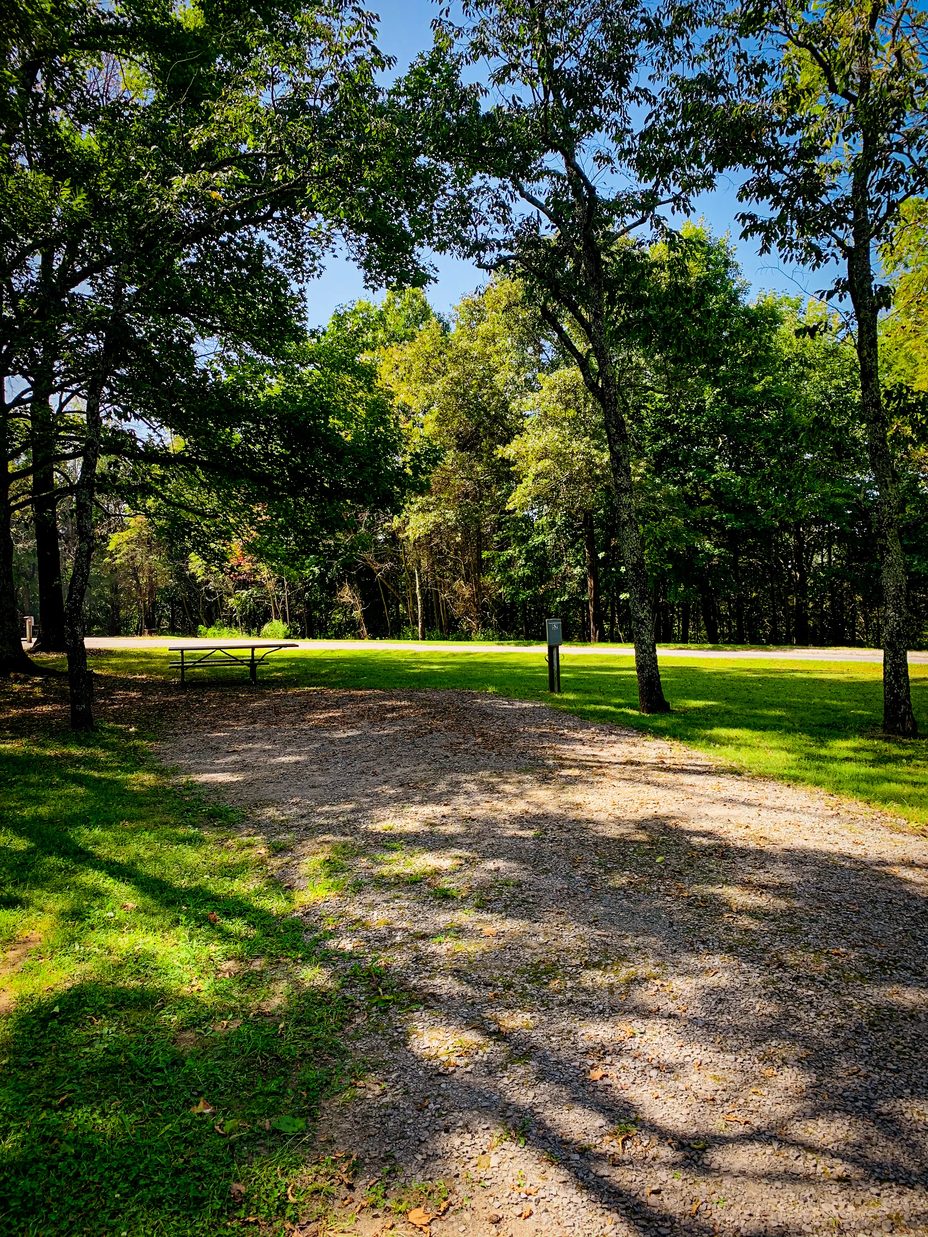 Camp at Ferne Clyffe State Park